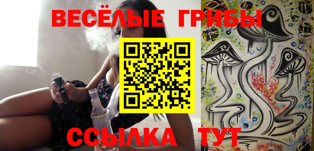 Гатчина  Псилоцибиновые грибы Psilocybine cubensis  Вход с VPN 
